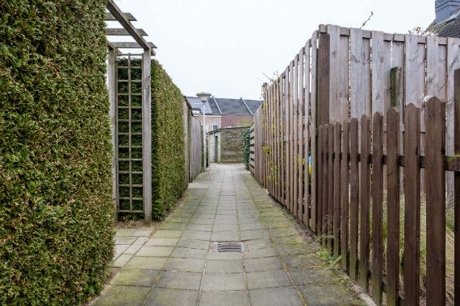 Foto achterpad
