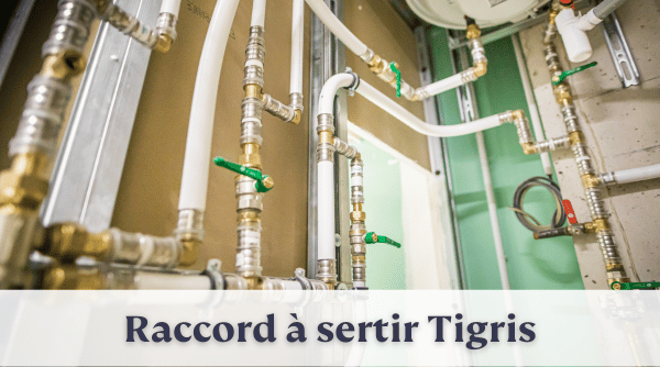 Mise en situation Tigris