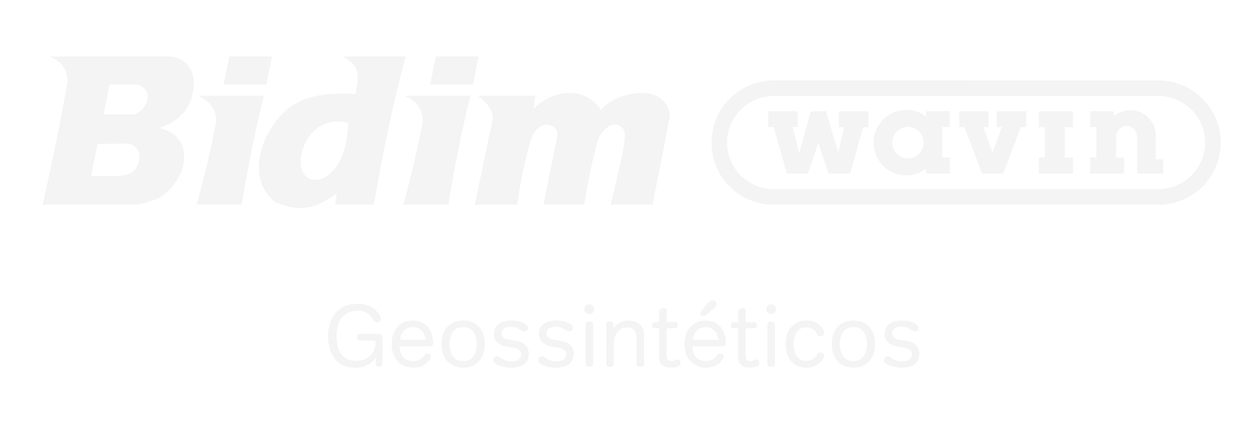 Logo Bidim Geossintéticos transparente