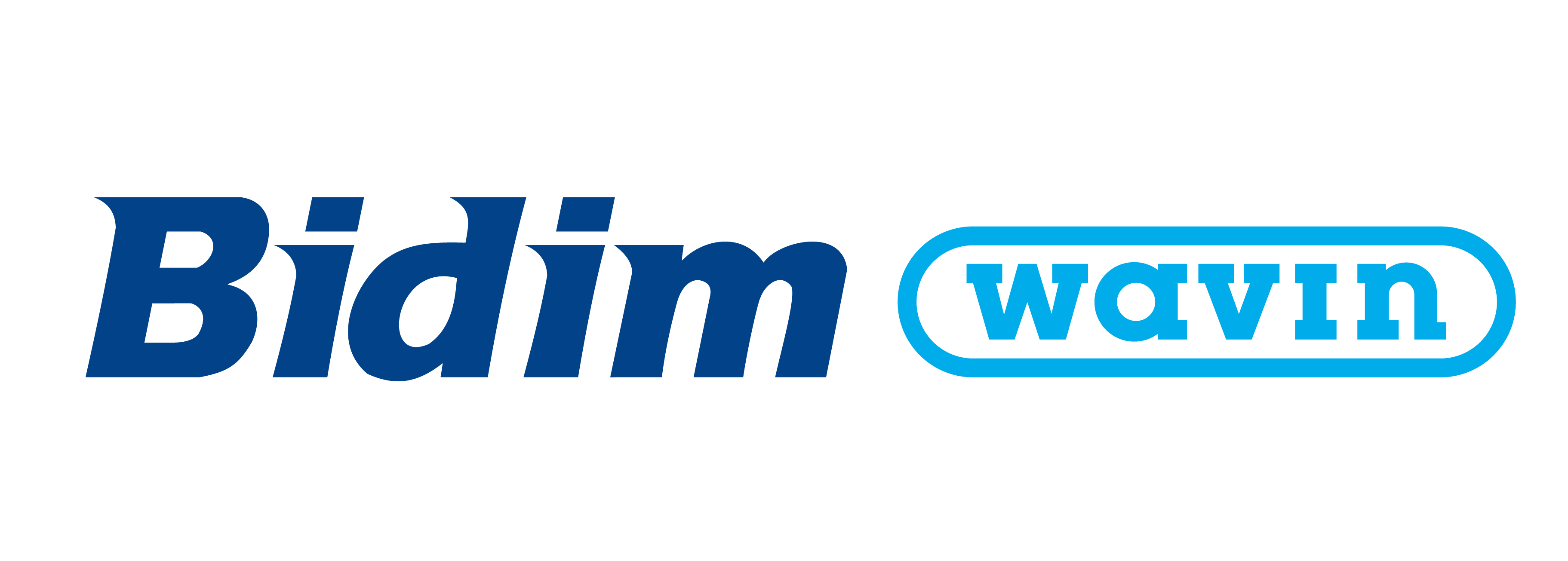 Logo Bidim Wavin_Mesa de trabajo 1-1