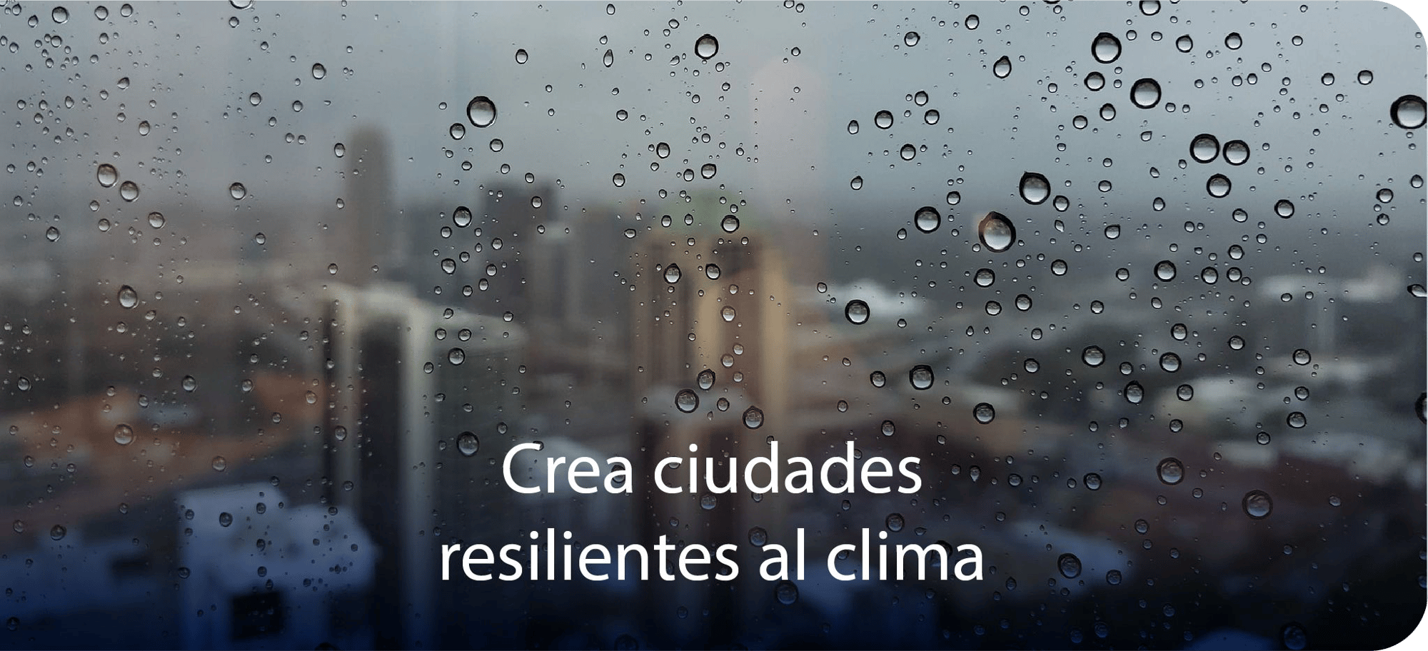 creaciudadesresilientes creaciudadesresilientes