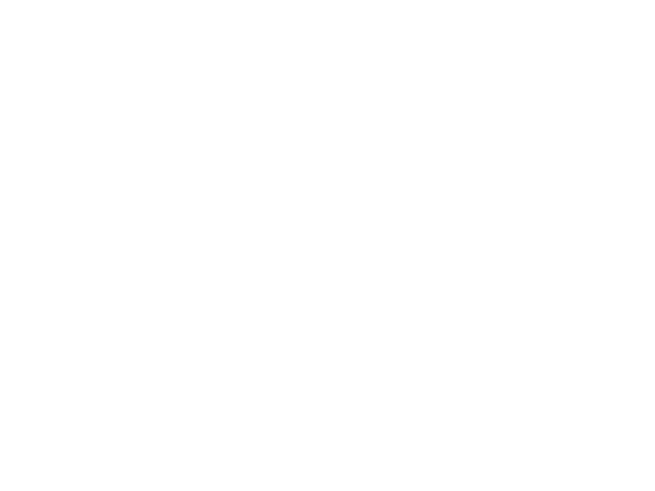 hs-tigris-in4sure-icon-1