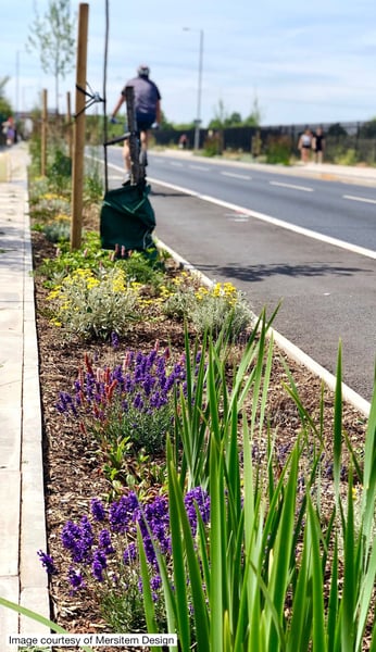 royal-dock-rain-gardens-3long-1