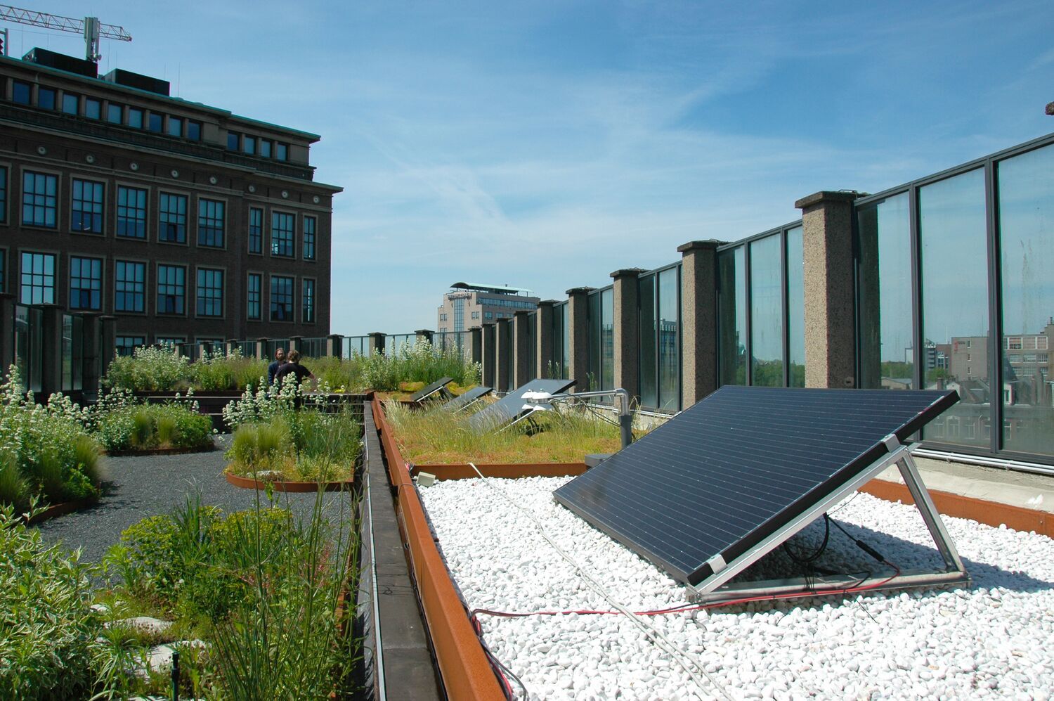 Jak zelené střechy a solární technologie společně pomáhají klimatu